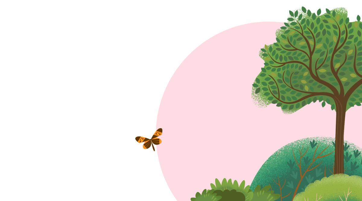 Home Impactexchange Salesforce